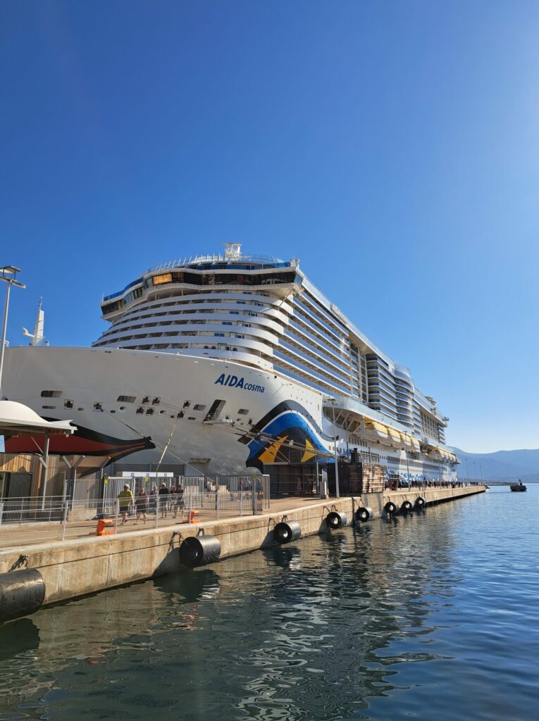 a large cruise ship docked at a dock