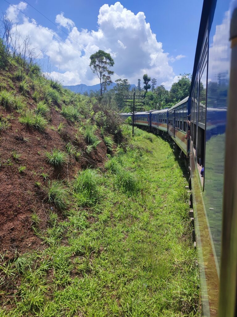 a train going through a grassy area