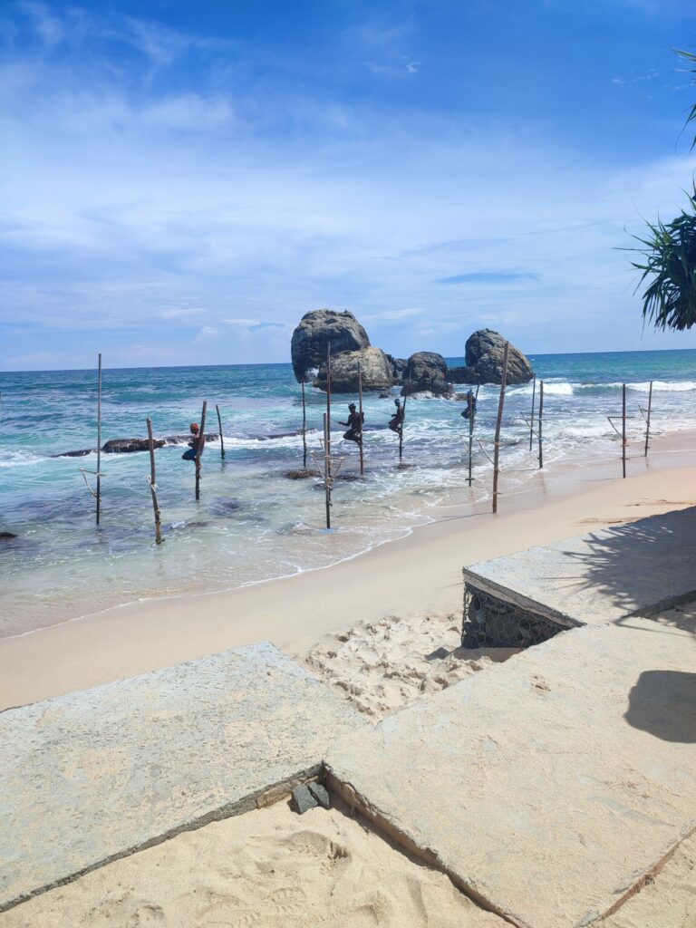 a beach with rocks and trees